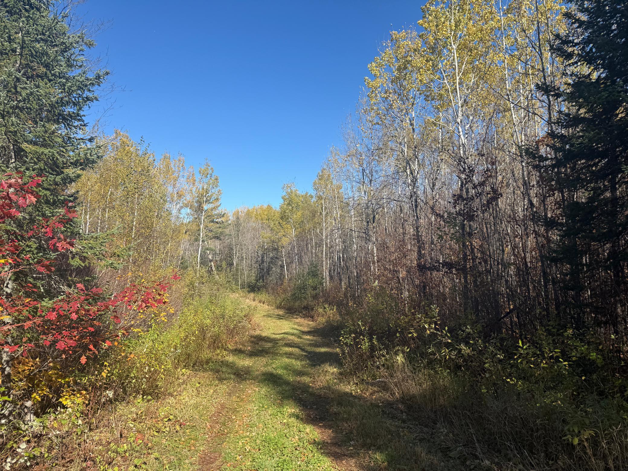 Tbd French Road Chisholm, MN 55719 - Photo 84 of 104