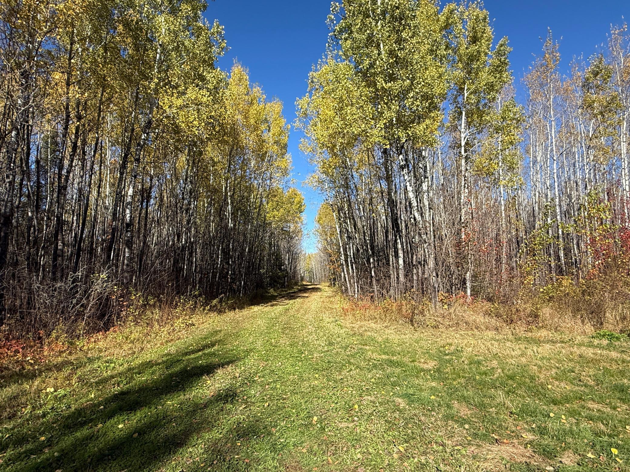 Tbd French Road Chisholm, MN 55719 - Photo 85 of 104