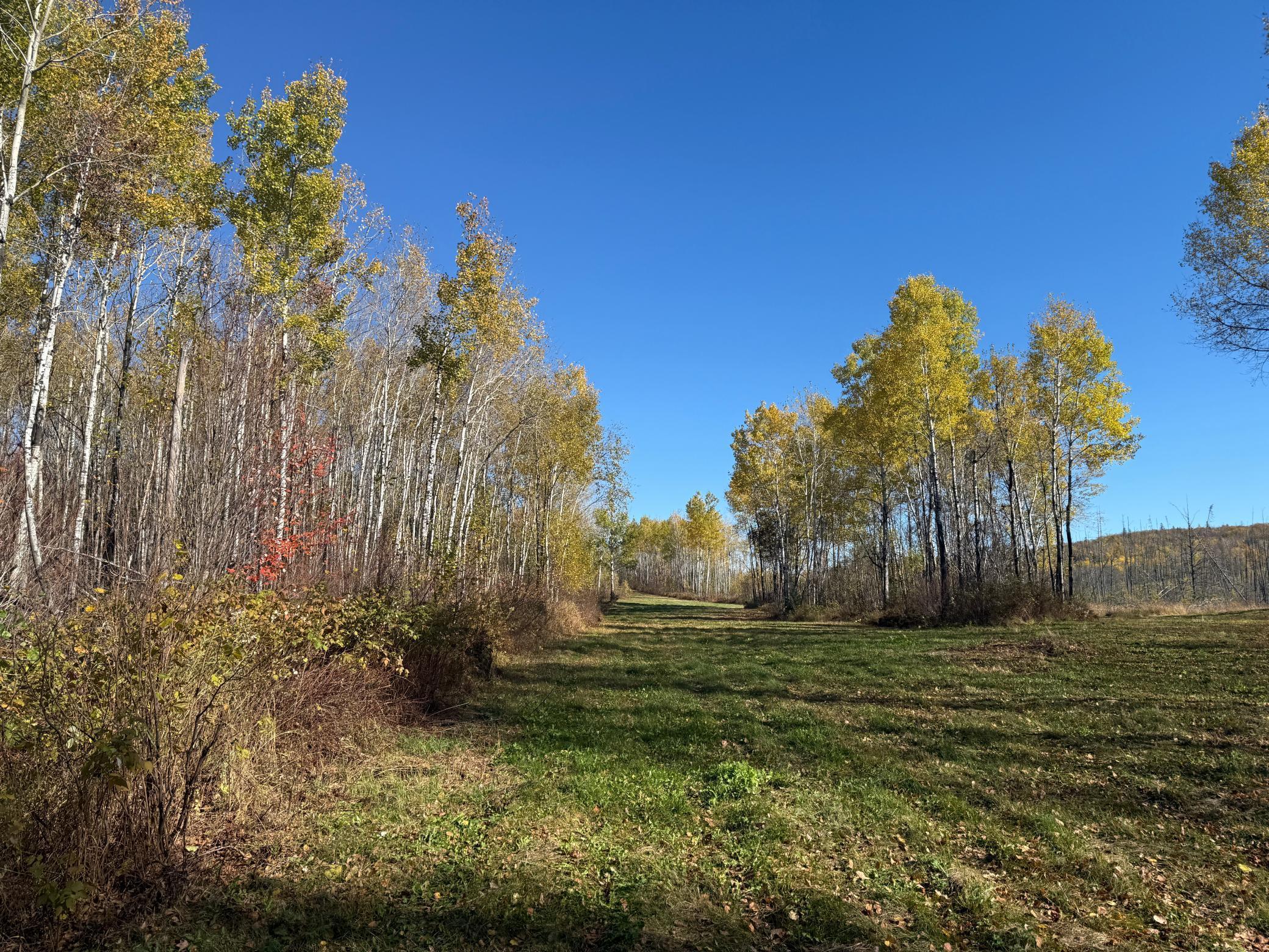 Tbd French Road Chisholm, MN 55719 - Photo 86 of 104