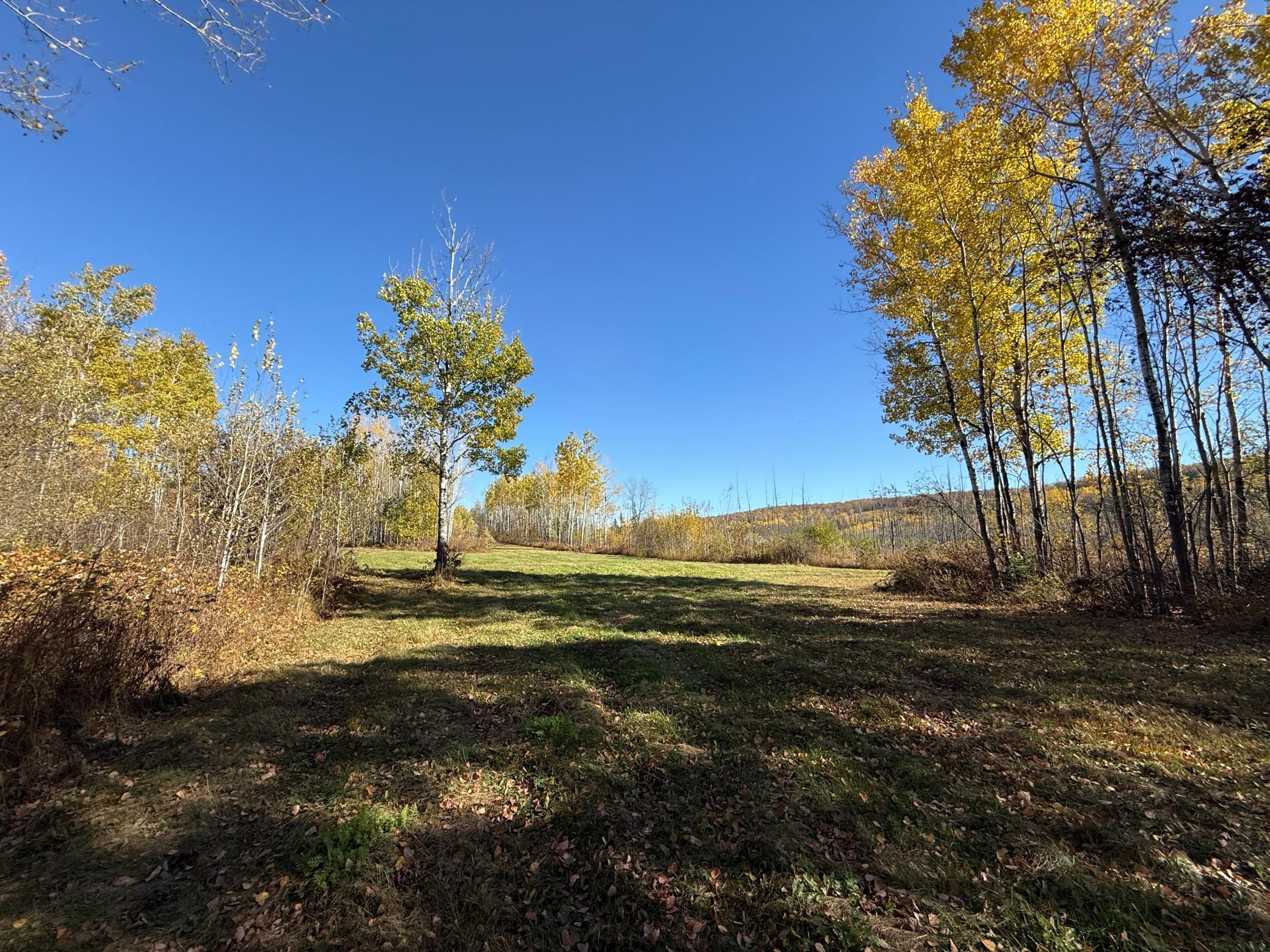 Tbd French Road Chisholm, MN 55719 - Photo 87 of 104