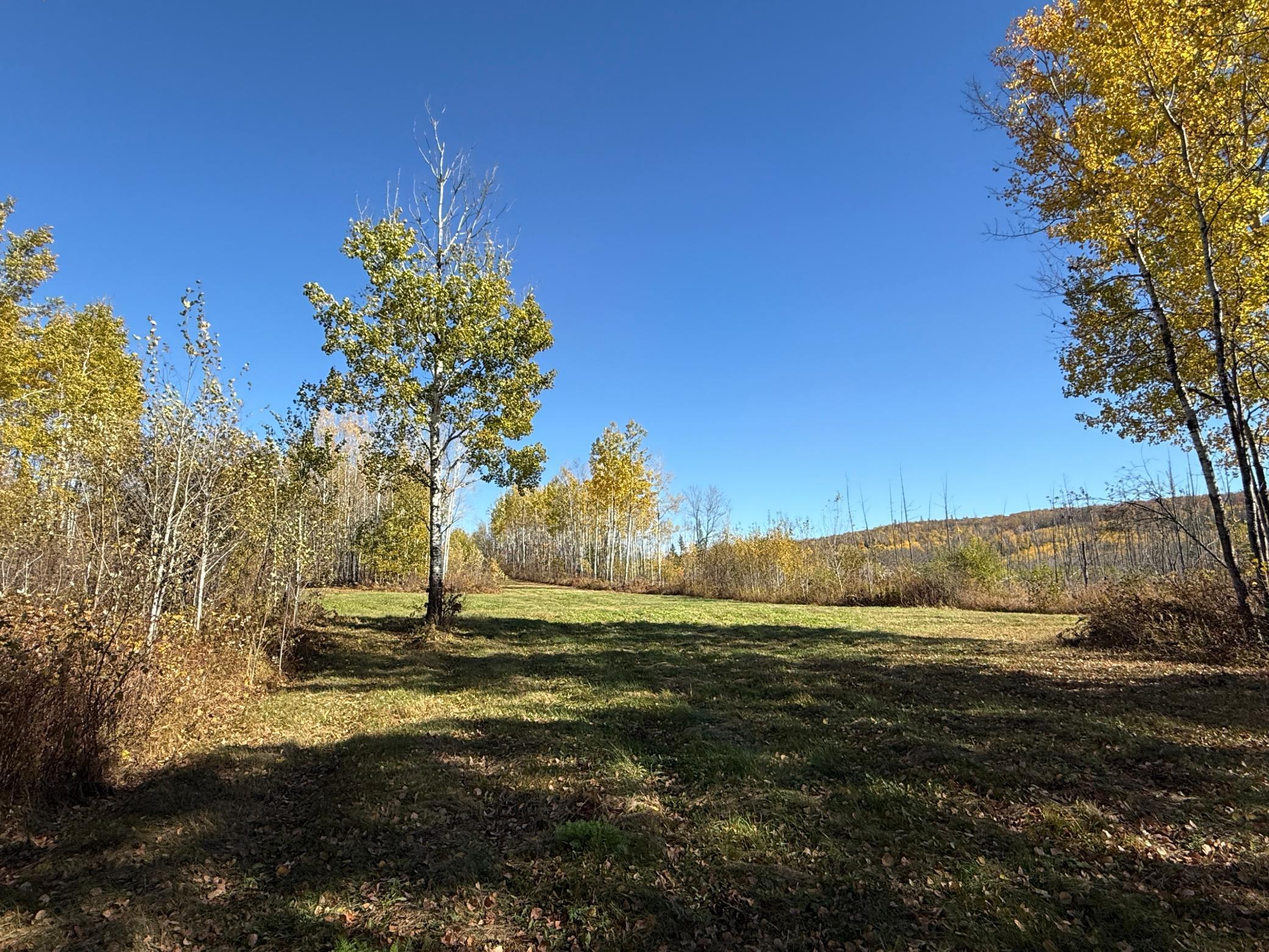 Tbd French Road Chisholm, MN 55719 - Photo 88 of 104