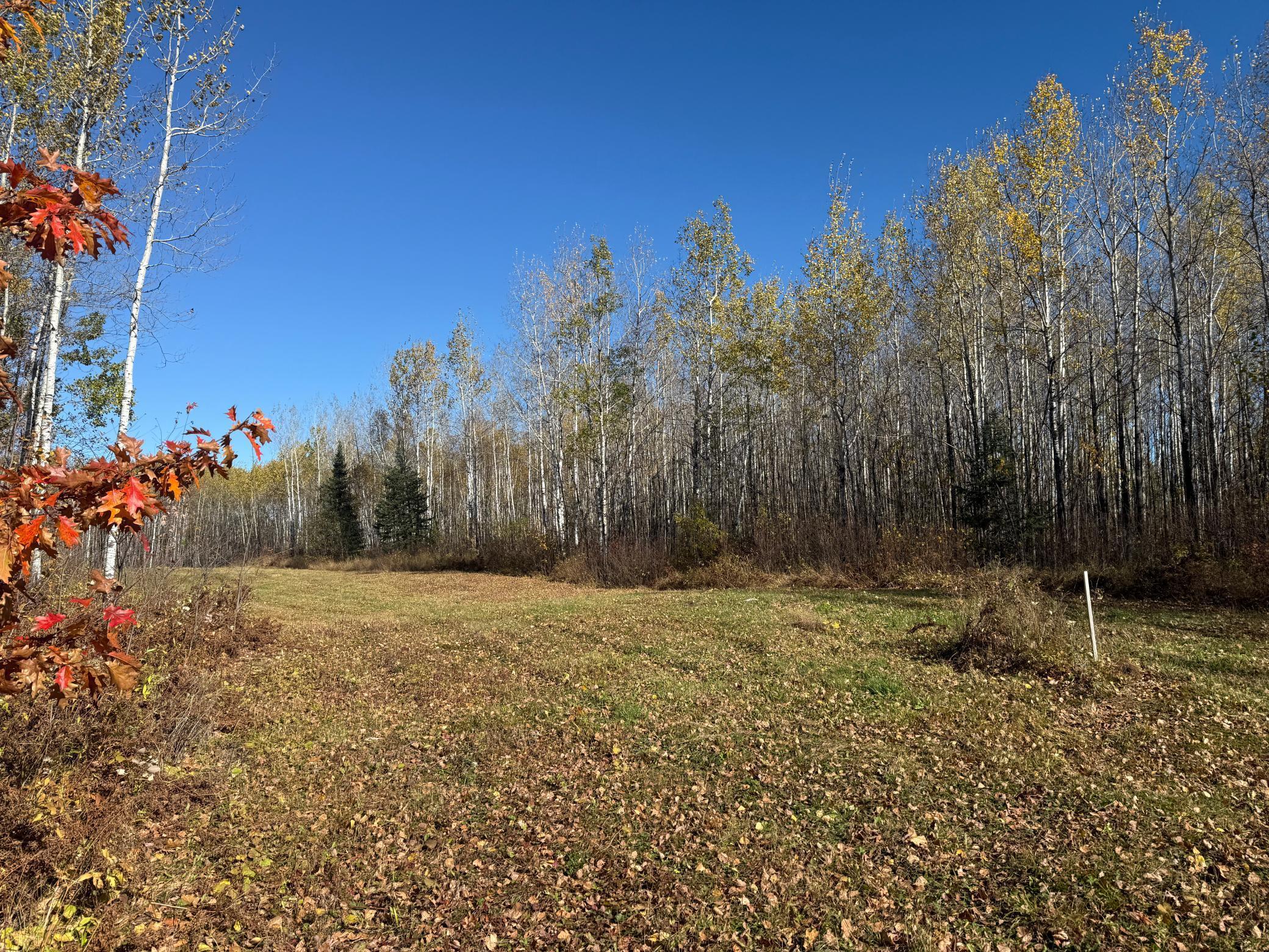 Tbd French Road Chisholm, MN 55719 - Photo 89 of 104