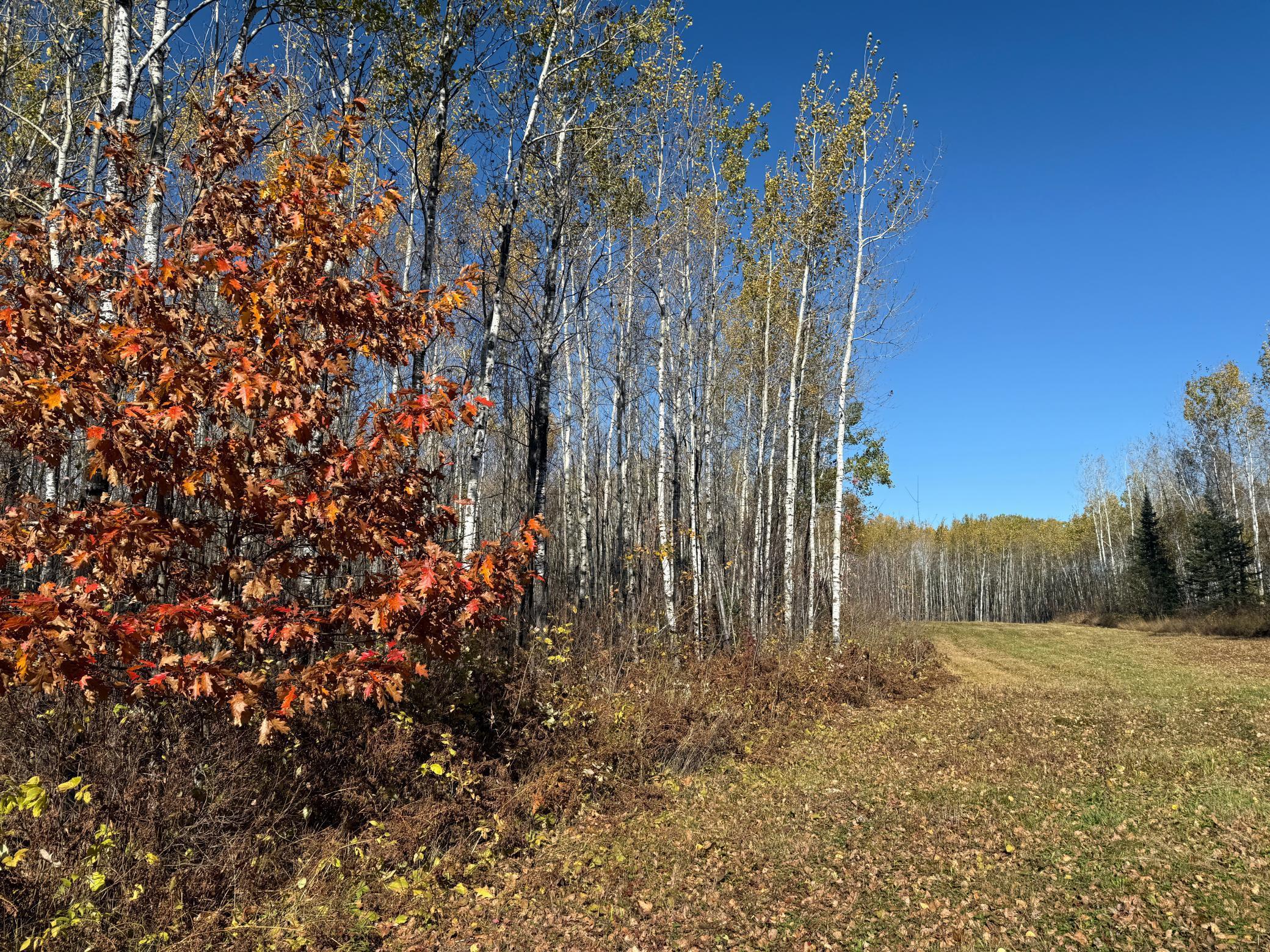 Tbd French Road Chisholm, MN 55719 - Photo 90 of 104
