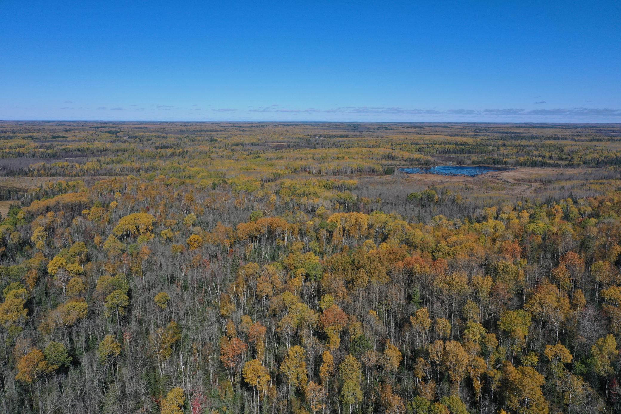 Tbd French Road Chisholm, MN 55719 - Photo 9 of 104