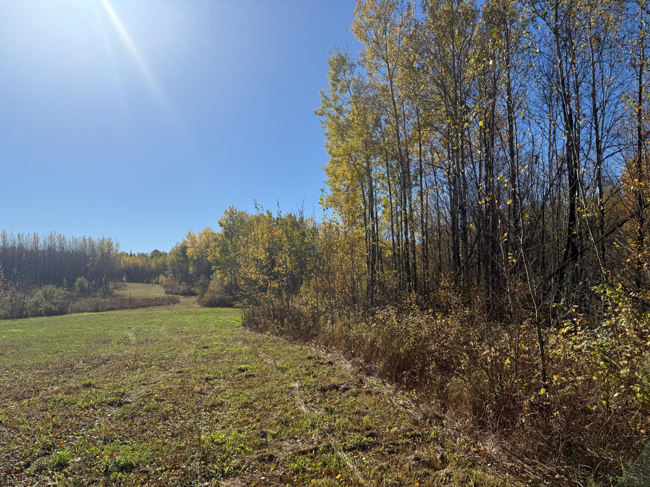 Tbd French Road Chisholm, MN 55719 - Photo 91 of 104