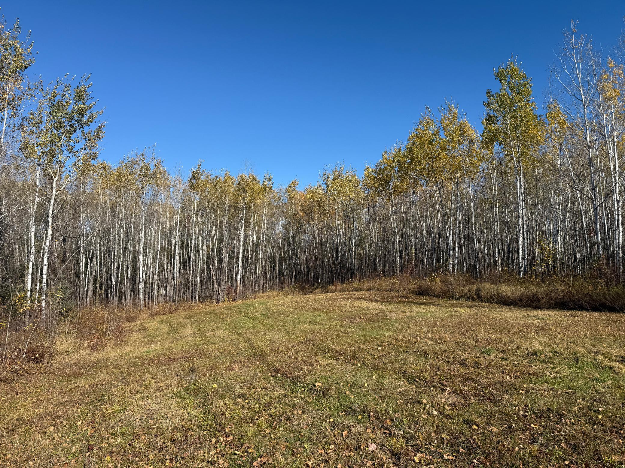 Tbd French Road Chisholm, MN 55719 - Photo 92 of 104