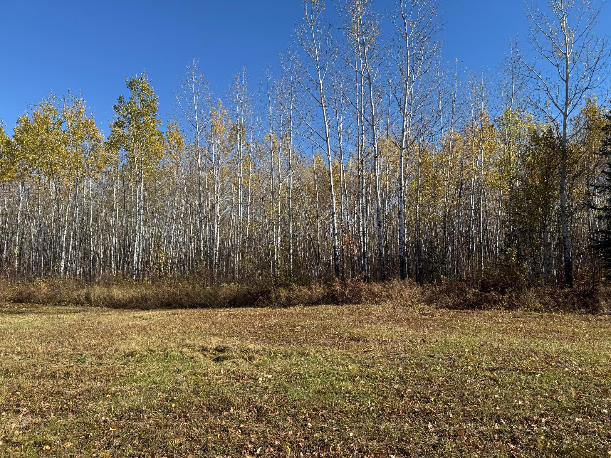 Tbd French Road Chisholm, MN 55719 - Photo 93 of 104