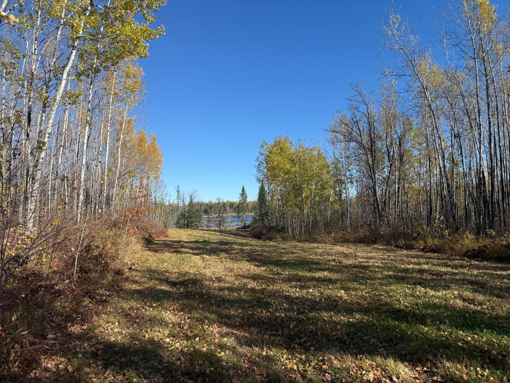 Tbd French Road Chisholm, MN 55719 - Photo 94 of 104