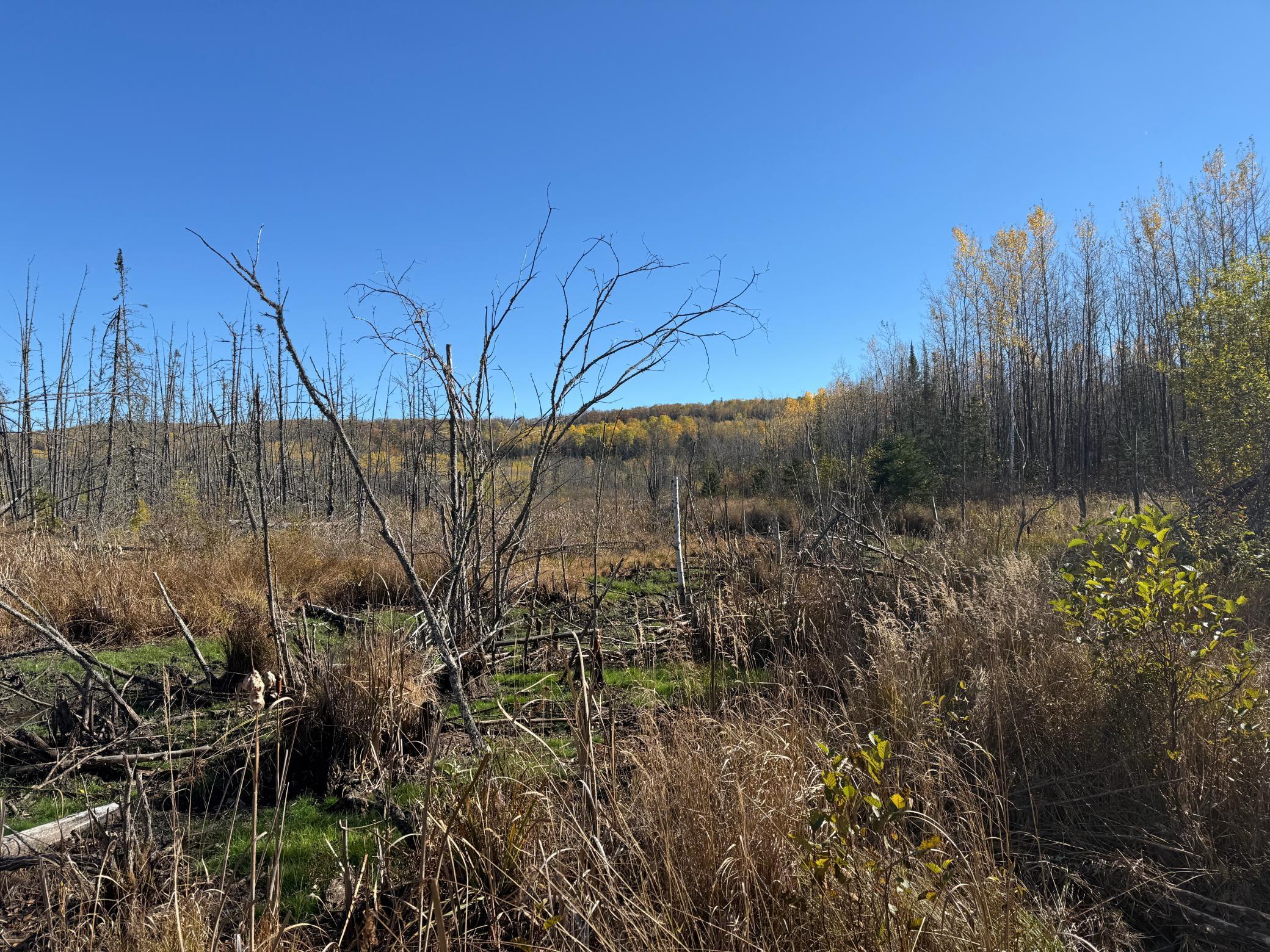 Tbd French Road Chisholm, MN 55719 - Photo 97 of 104