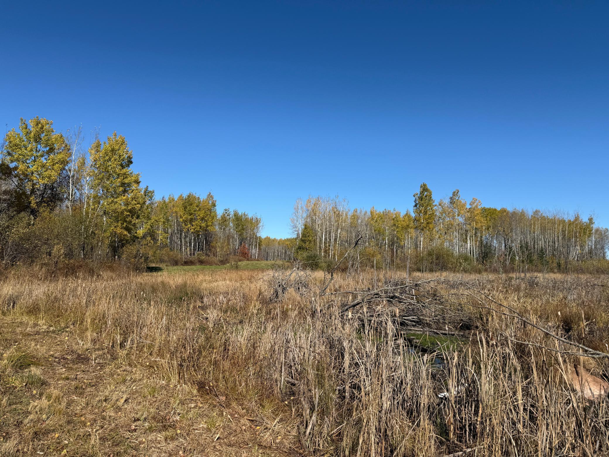 Tbd French Road Chisholm, MN 55719 - Photo 98 of 104