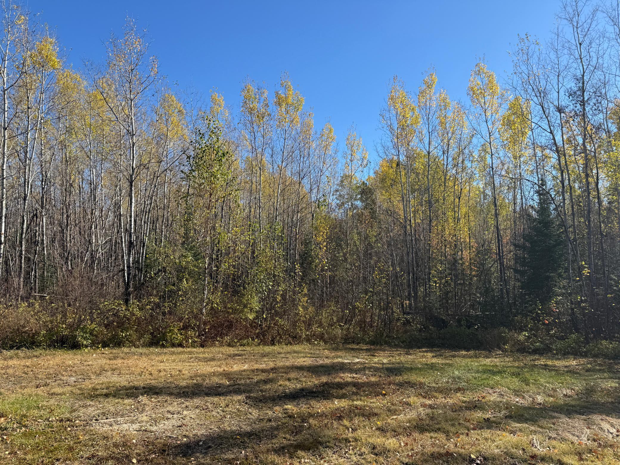 Tbd French Road Chisholm, MN 55719 - Photo 99 of 104