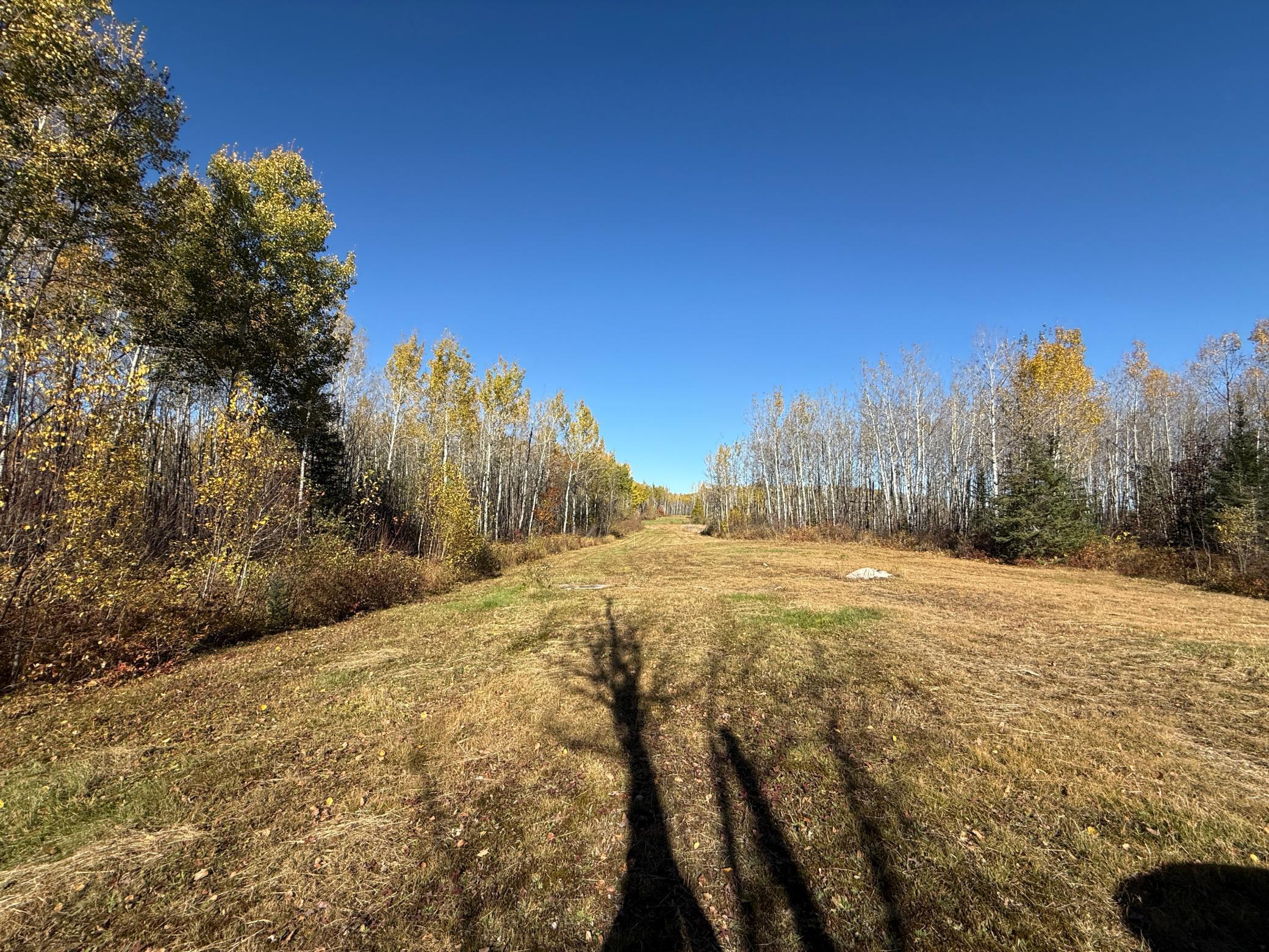 Tbd French Road Chisholm, MN 55719 - Photo 100 of 104