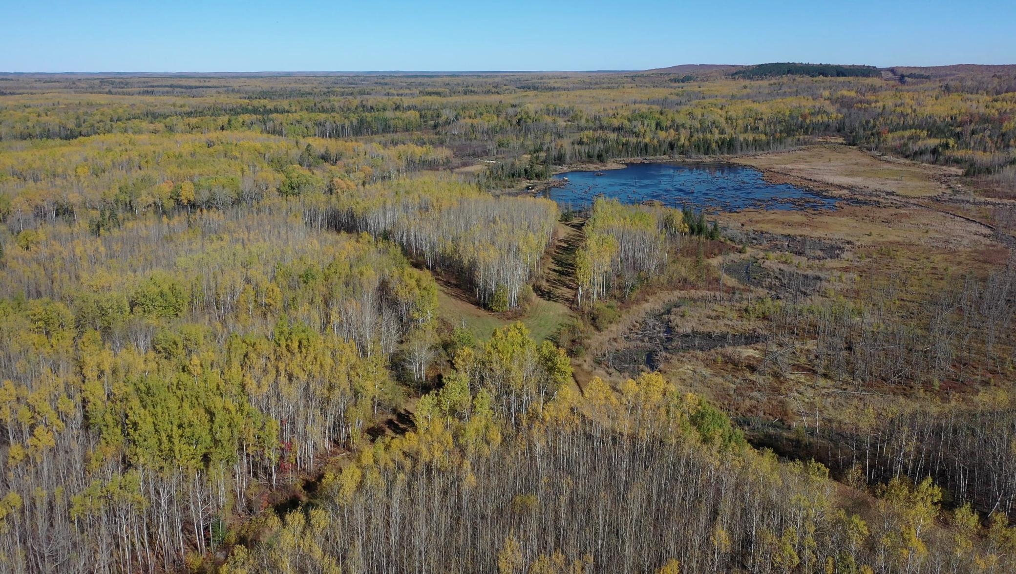 Tbd French Road Chisholm, MN 55719 - Photo 10 of 104