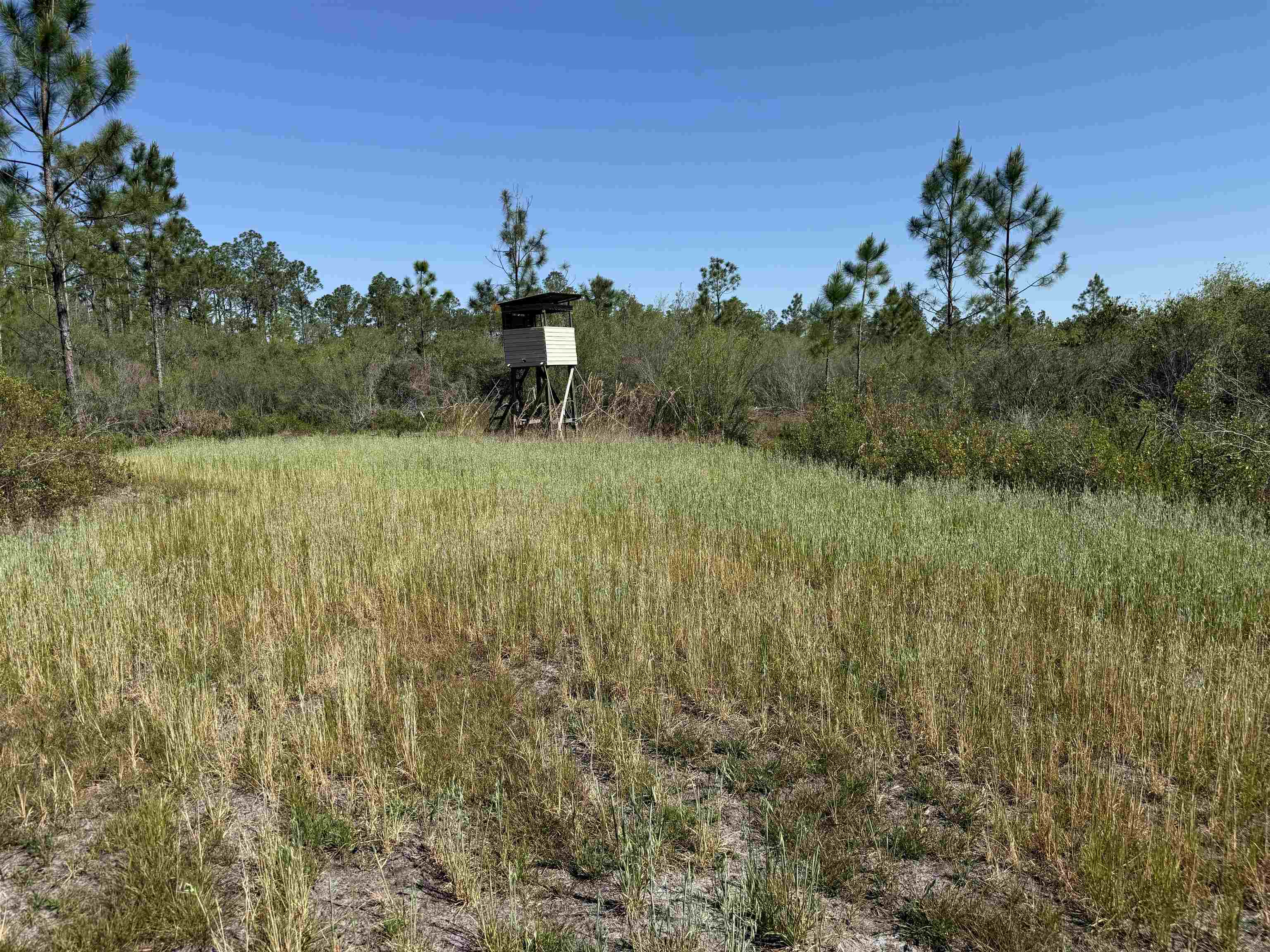 0 Madison Main Line Road Perry, FL 32347 - Photo 43 of 50