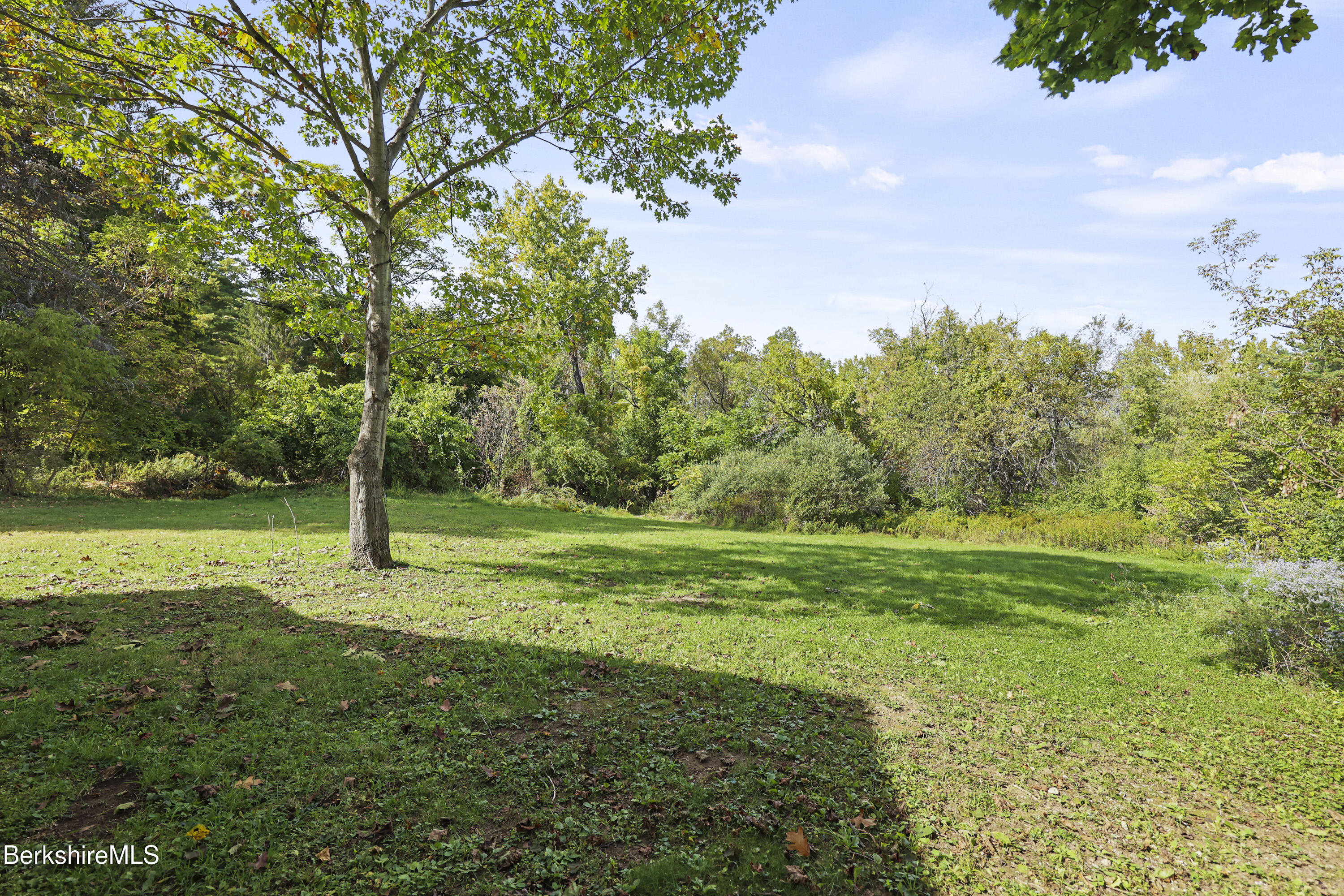 26 Davis Street Pittsfield, MA 01201 - Photo 23 of 29 175 Back Yard