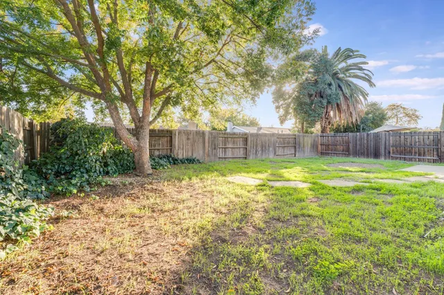 a view of a yard with a large tree and wooden fence