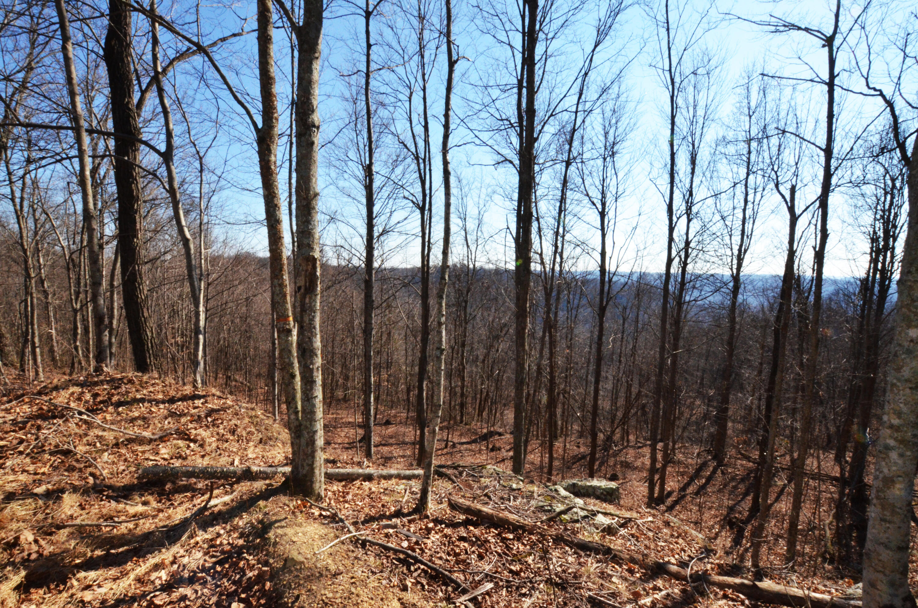 9999 Wagers Mountain Road Ravenna, KY 40472 - Photo 20 of 50 Road to it!