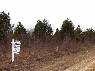 5 Hawkins Road Gladwin, MI 48624 - Photo 1 of 1 Hawkins Road Frontage