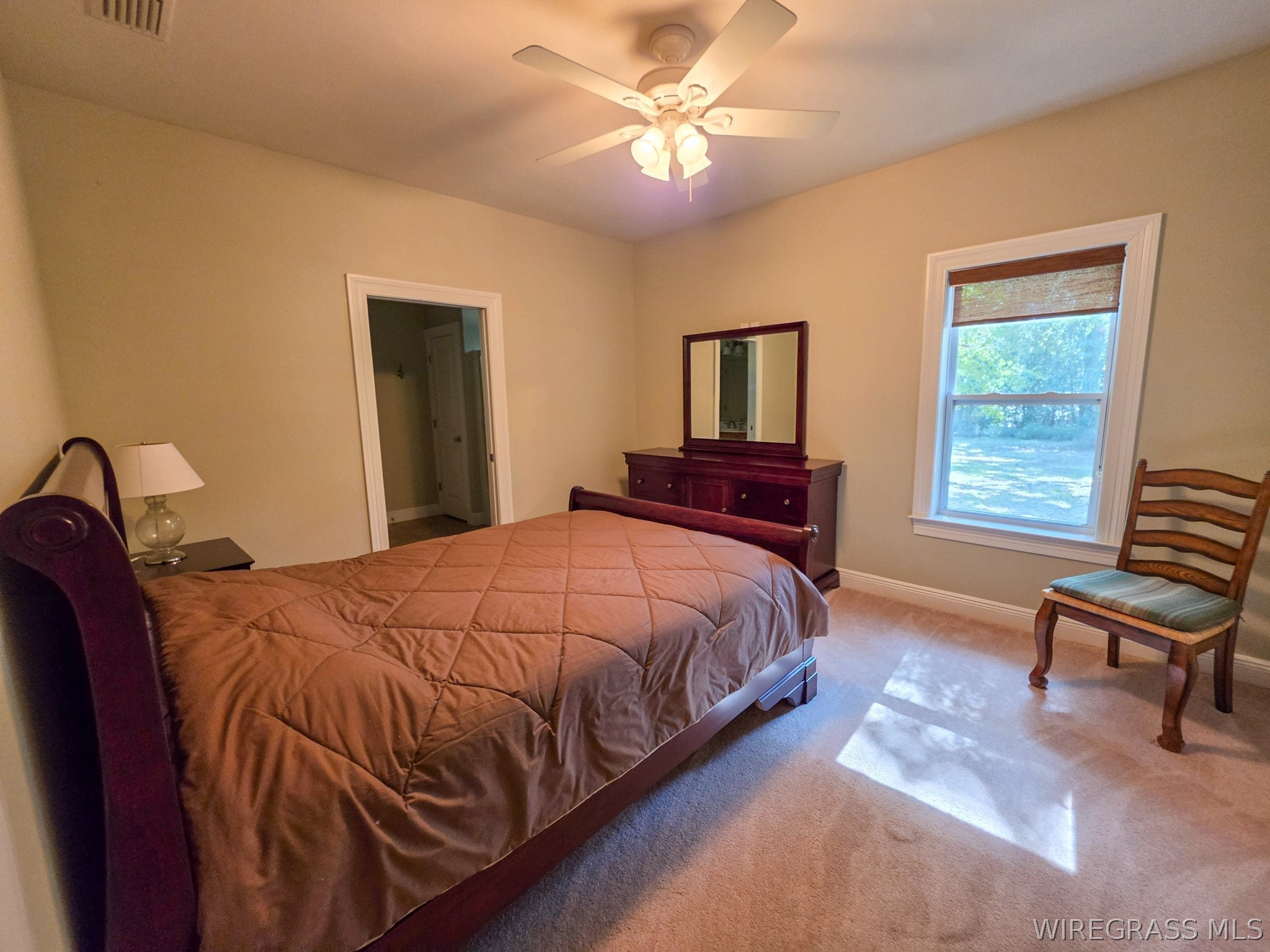 3433 Iron Bridge Road Samson, AL 36477 - Photo 14 of 57 Gallery Image 14