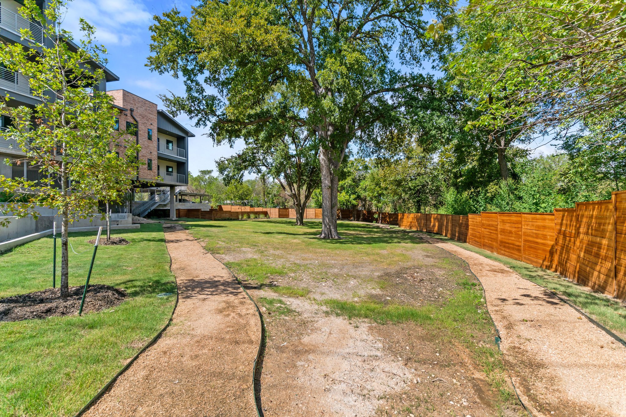 100 West Mockingbird Lane Austin, TX 78745 - Photo 21 of 24 a view of a park with large trees