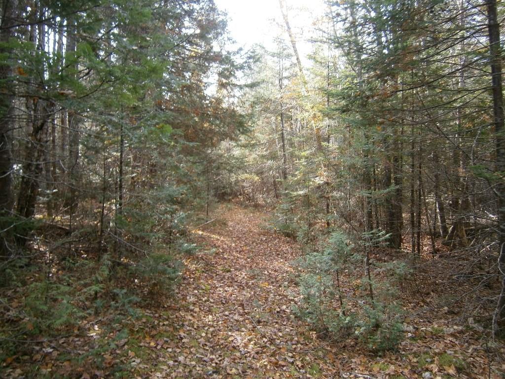 0 Roque Bluffs Road Jonesboro, ME 04648 - Photo 19 of 34 Maine Land for Sale