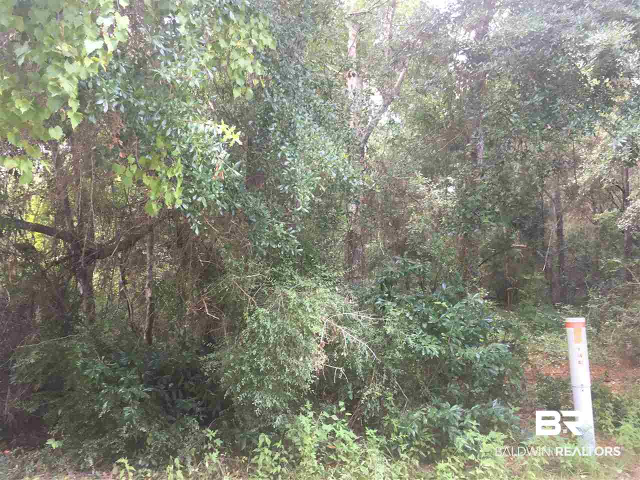 Donovan Drive Seminole, AL 36574 - Photo 2 of 4 Gallery Image 2