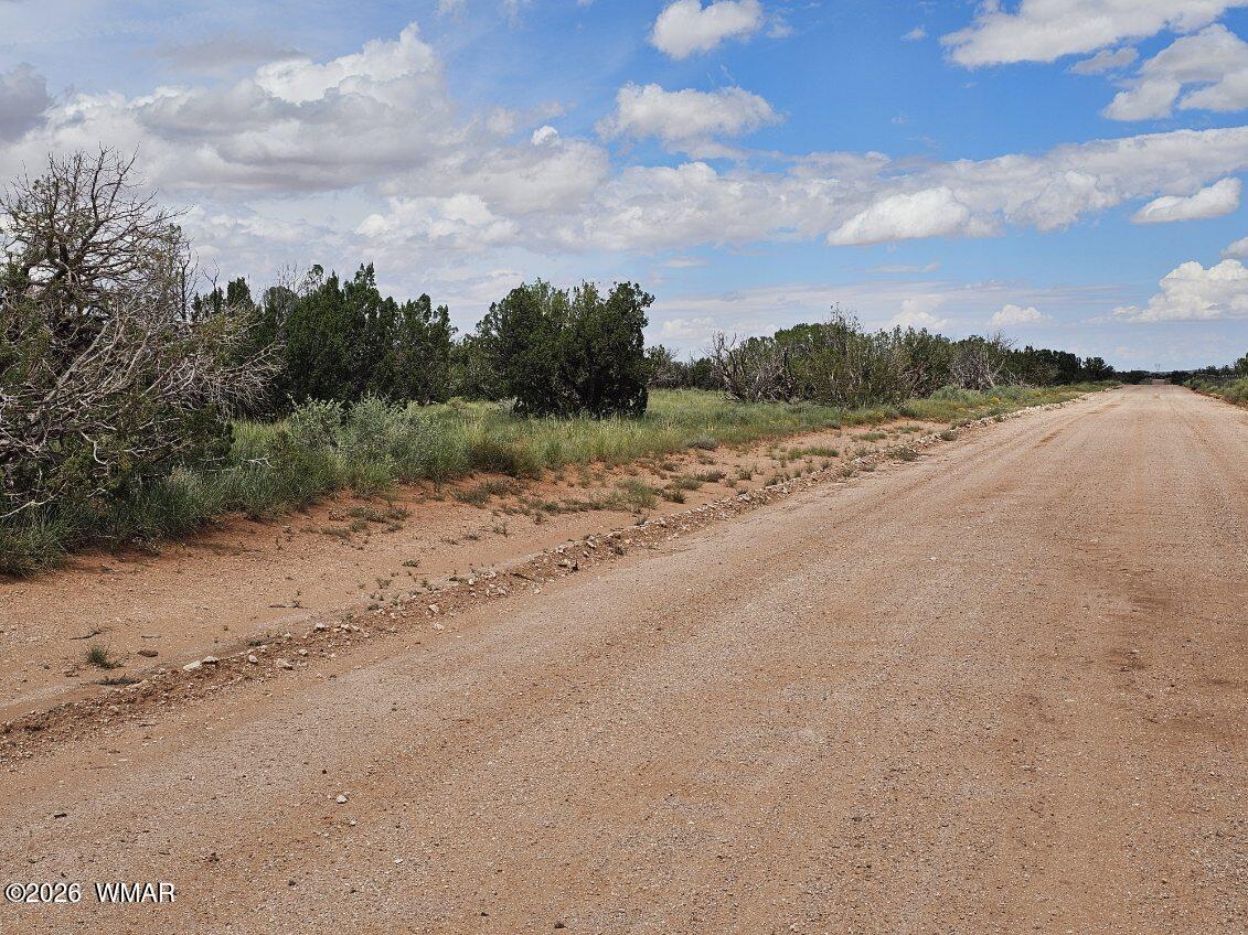 1924 Hutch Road Heber, AZ 85928 - Photo 12 of 17 Gallery Image 12