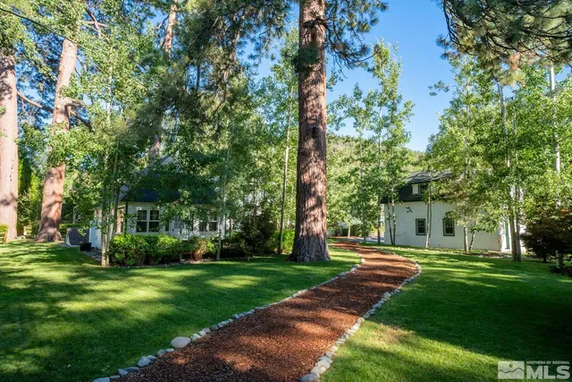 a view of a park with trees