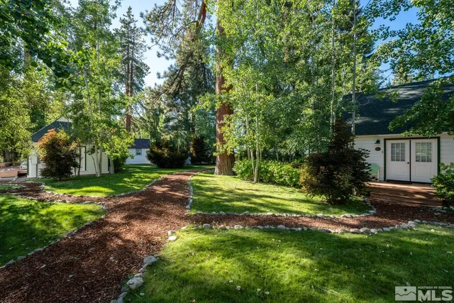 a view of a backyard