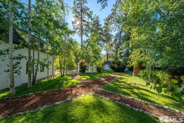 a view of a yard with potted plants