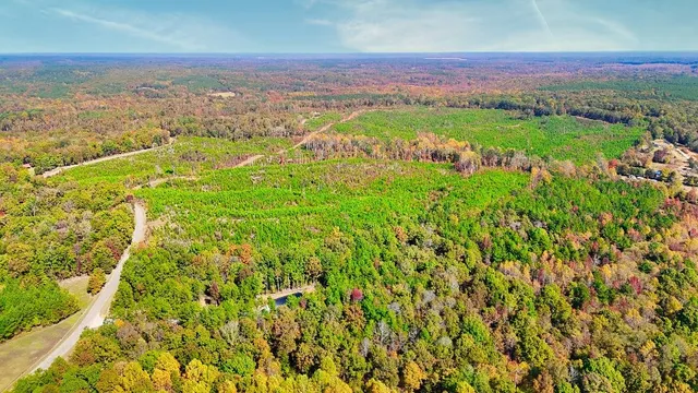 an aerial view of residential houses with outdoor space and trees