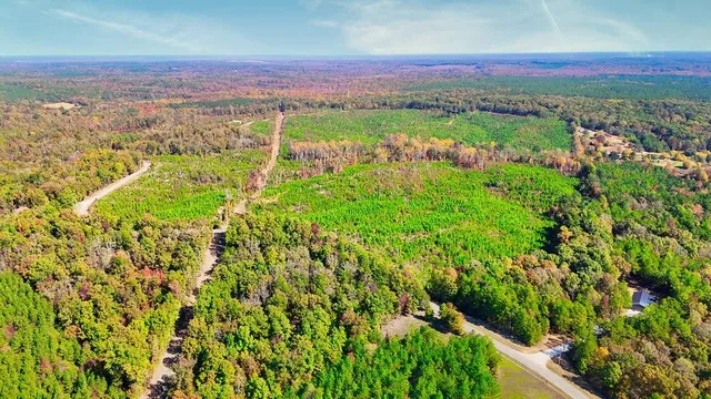 an aerial view of residential houses with outdoor space and trees