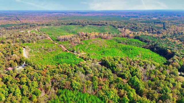 a view of a city with lush green forest