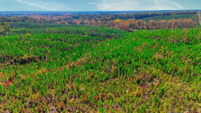 a view of a lush green outdoor space with a lake view