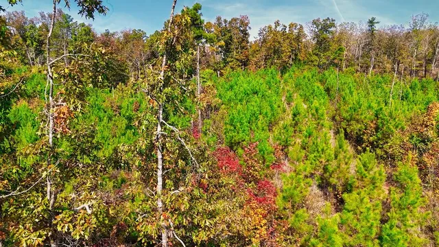 a backyard of a house with lots of green space and trees all around