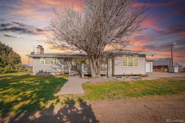 a view of a yard with a house in the background