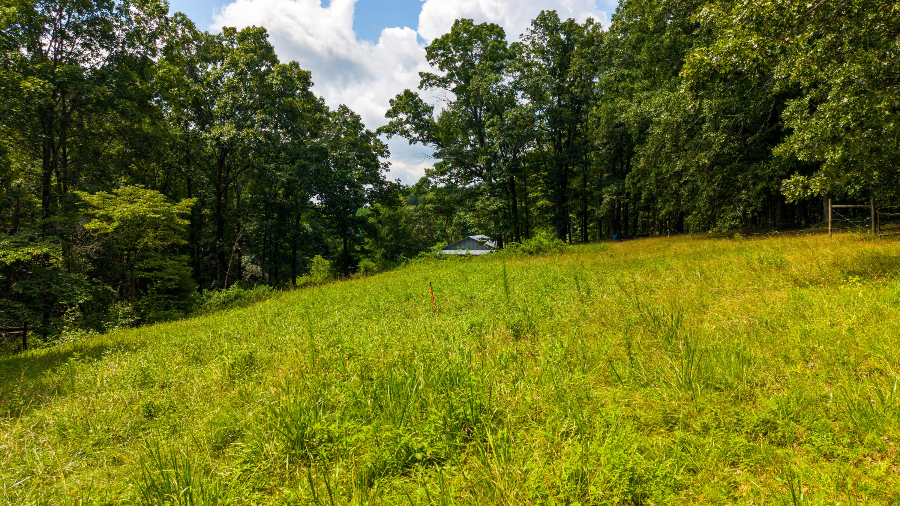 3270 Lake Kathy Road Tunnel Hill, GA 30755 - Photo 42 of 51 Pasture