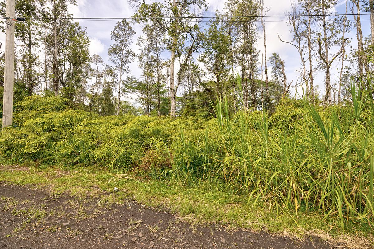Molokai Road Pahoa, HI 96778 - Photo 7 of 10 a view of a yard with a tree