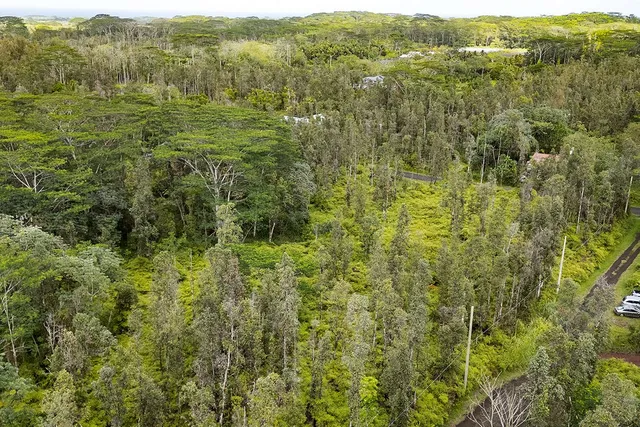 a view of a green field with lots of trees