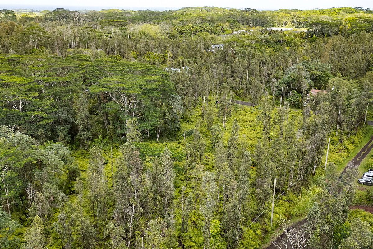 Molokai Road Pahoa, HI 96778 - Photo 8 of 10 a view of a green field with lots of trees