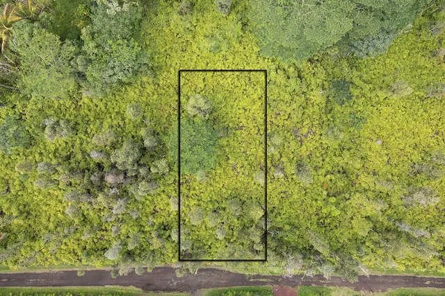 a view of a small yard