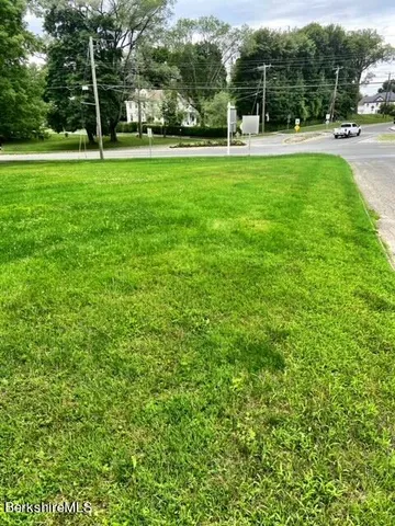 a view of a park with plants