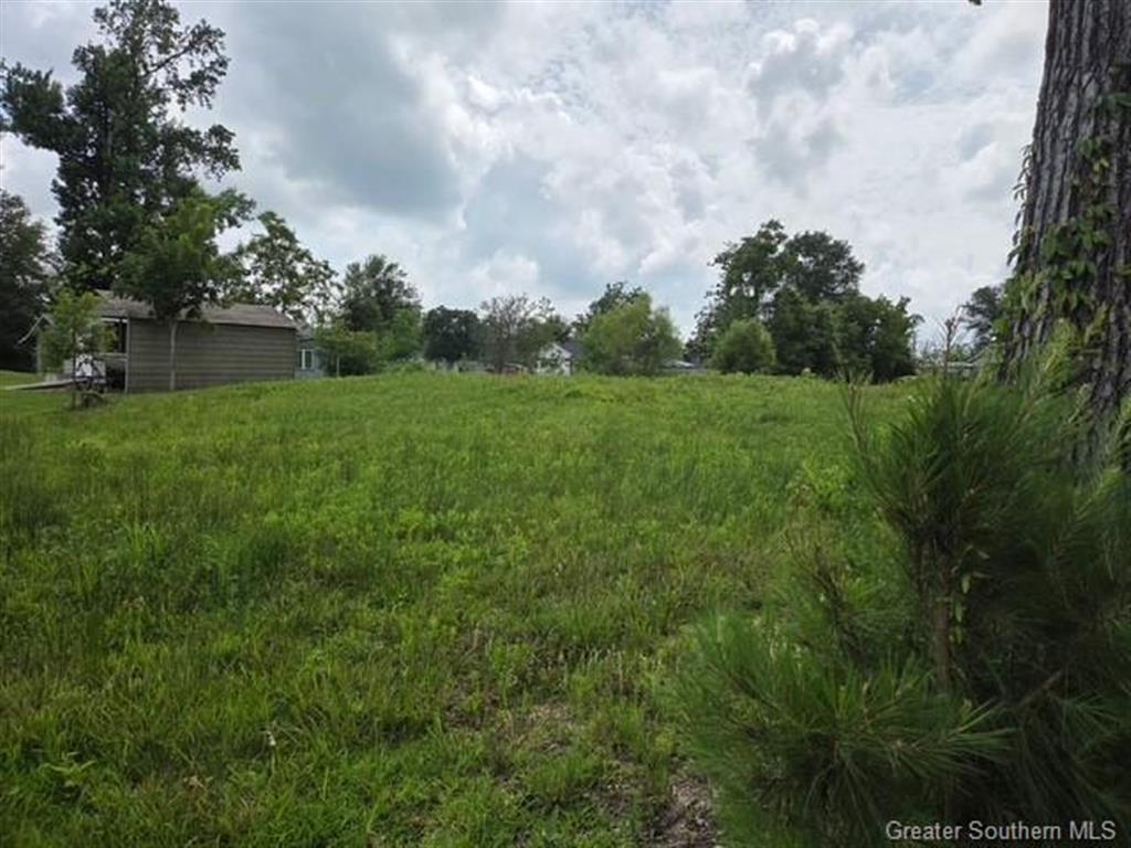 0 Goos Road Lake Charles, LA 70611 - Photo 5 of 6