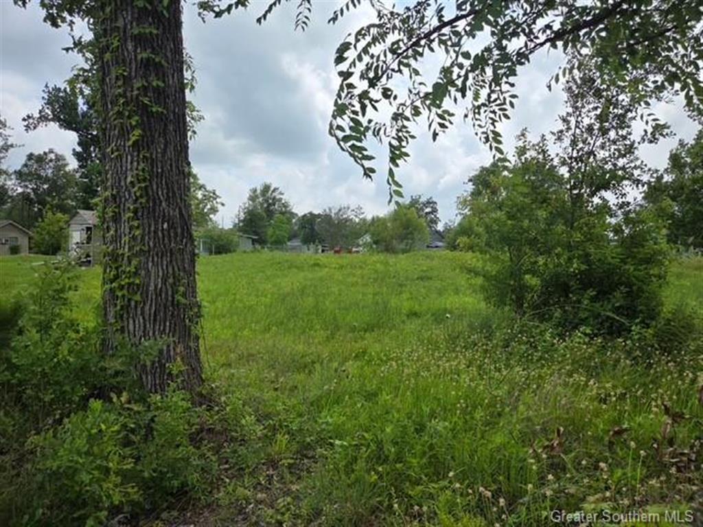 0 Goos Road Lake Charles, LA 70611 - Photo 6 of 6