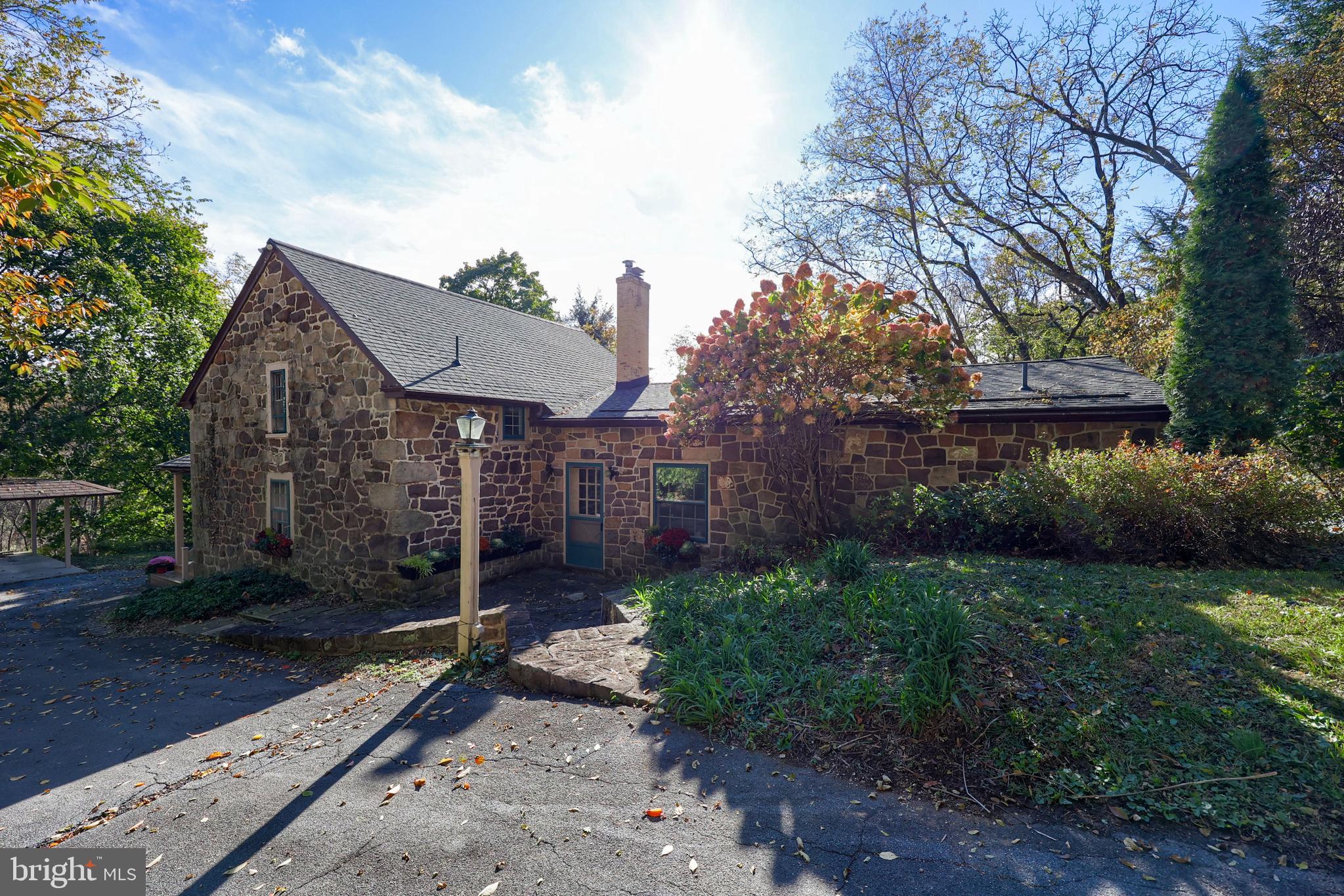 a view of a house with a small yard and a large tree
