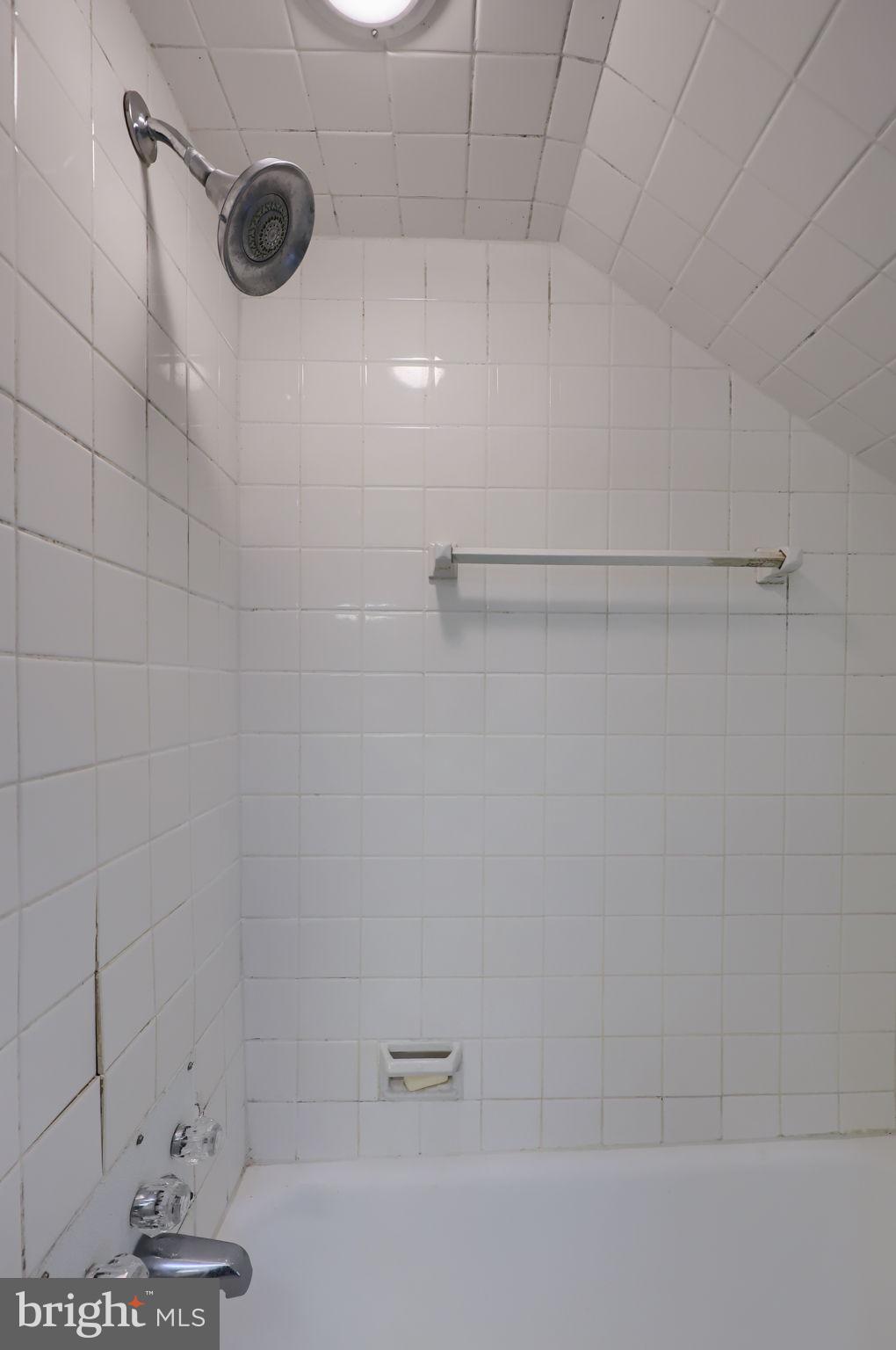 550 Speedwell Forge Road Lititz, PA 17543 - Photo 43 of 92 a bathroom with a shower and a bath tub