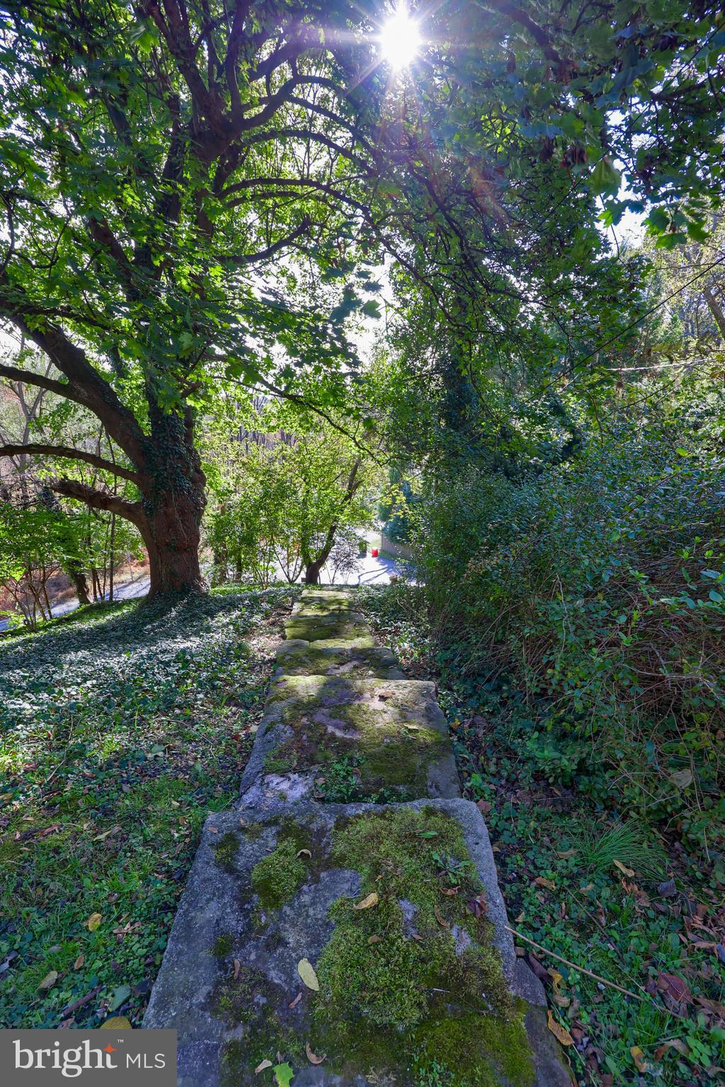 550 Speedwell Forge Road Lititz, PA 17543 - Photo 54 of 92 a view of a yard with plants and a large tree