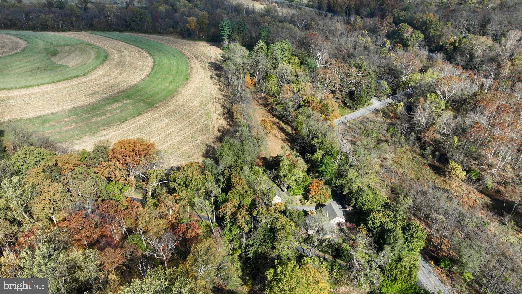 550 Speedwell Forge Road Lititz, PA 17543 - Photo 89 of 92 a view of a swimming pool with a yard and large trees
