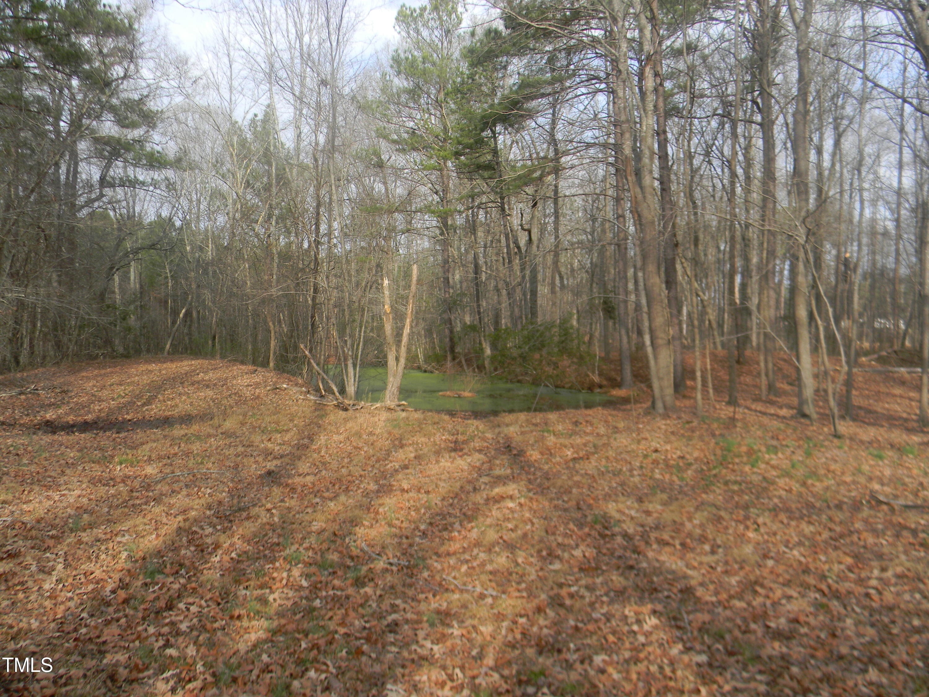 242 Slate Top House Road Clayton, NC 27520 - Photo 27 of 28 DSCN3974