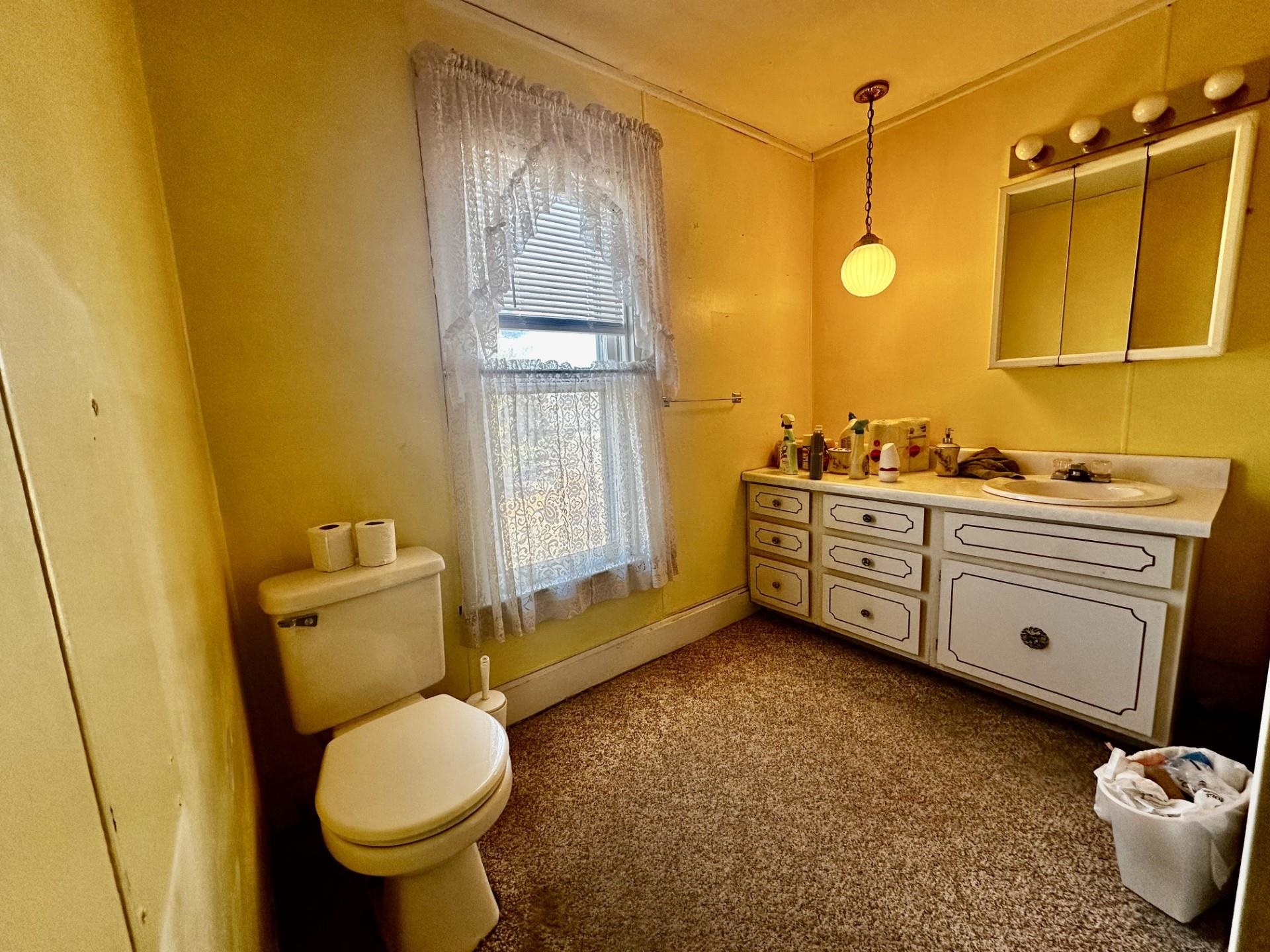 1898 Il Route Thomson, IL 61285 - Photo 12 of 18 a bathroom with a granite countertop sink toilet and shower